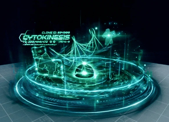 Cytokinesis